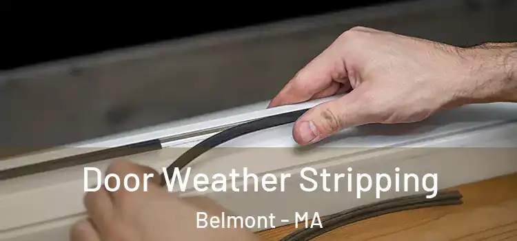 Door Weather Stripping Belmont - MA