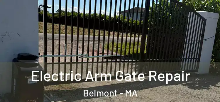 Electric Arm Gate Repair Belmont - MA