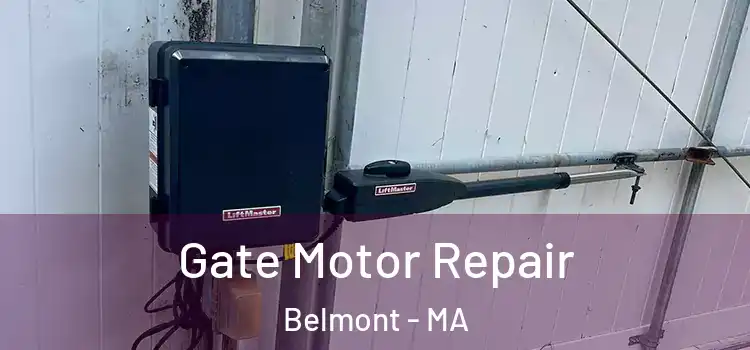 Gate Motor Repair Belmont - MA
