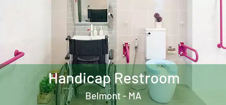  Handicap Restroom Belmont - MA